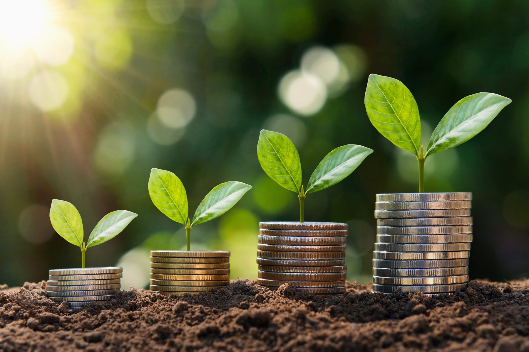 Coins and plants representing investments