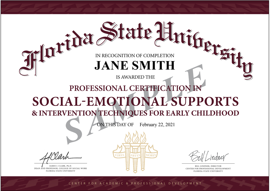 Social-Emotional_Cert_4-21-21_FINAL_SAMPLE_for-Website