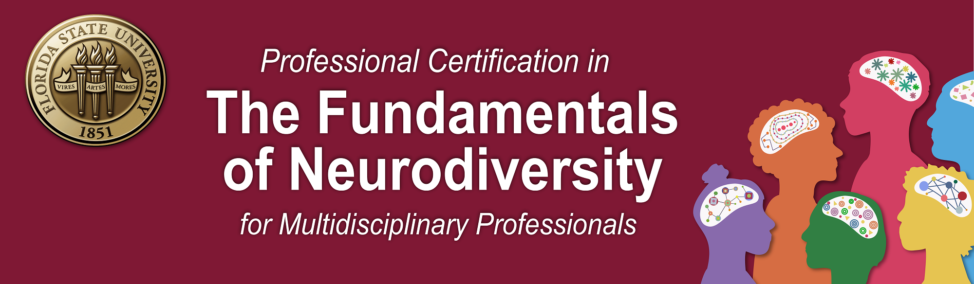 Title banner for fundamentals of neurodiversity